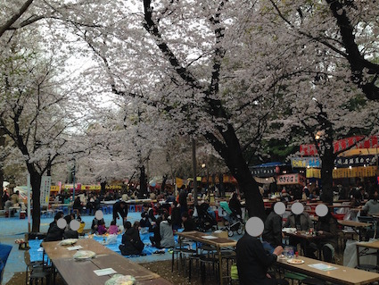 お花見情報 手ぶらでok 場所取りの心配なし お手軽お花見スポット 東京九段下 靖国神社 旅得 Info